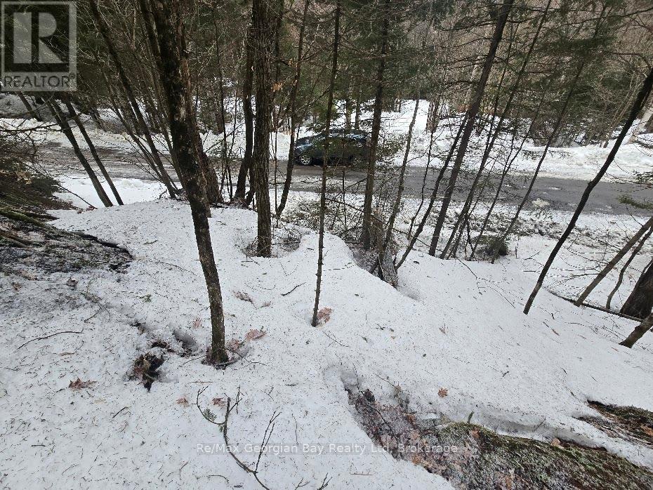 107 Balsam Chutes Road, Huntsville, Ontario  P0B 1L0 - Photo 22 - X12924538