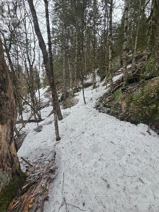 107 Balsam Chutes Road, Huntsville, Ontario  P0B 1L0 - Photo 23 - X12924538