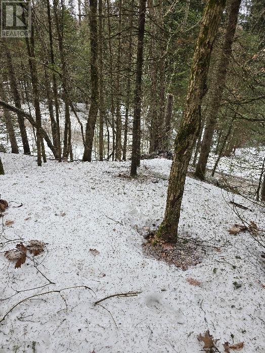 107 Balsam Chutes Road, Huntsville, Ontario  P0B 1L0 - Photo 24 - X12924538