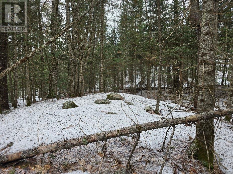 107 Balsam Chutes Road, Huntsville, Ontario  P0B 1L0 - Photo 25 - X12924538