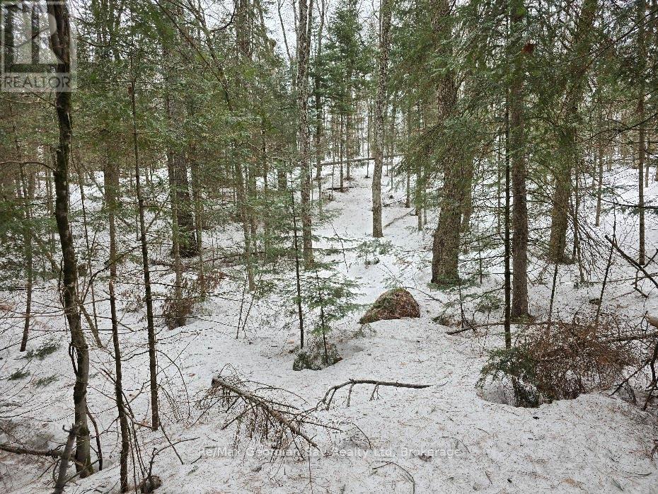107 Balsam Chutes Road, Huntsville, Ontario  P0B 1L0 - Photo 26 - X12924538