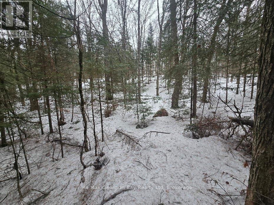 107 Balsam Chutes Road, Huntsville, Ontario  P0B 1L0 - Photo 27 - X12924538