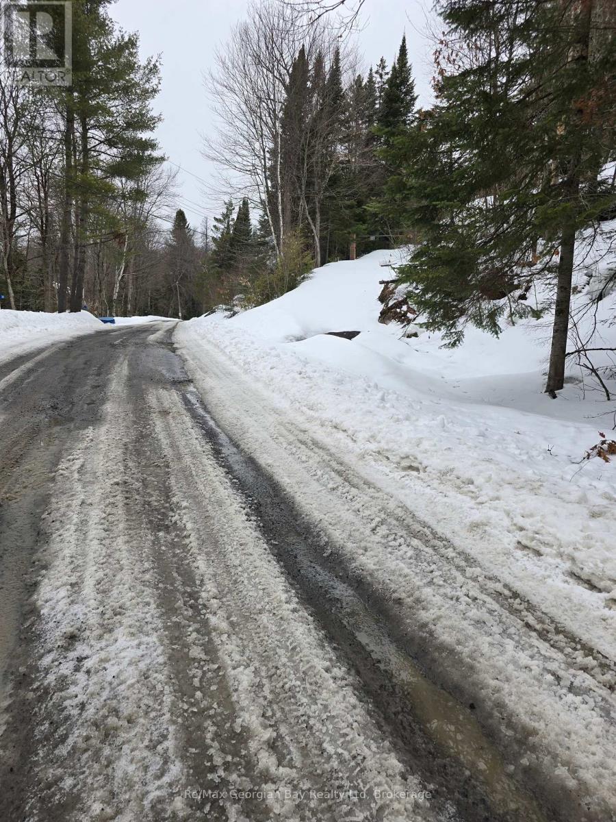 107 Balsam Chutes Road, Huntsville, Ontario  P0B 1L0 - Photo 4 - X12924538