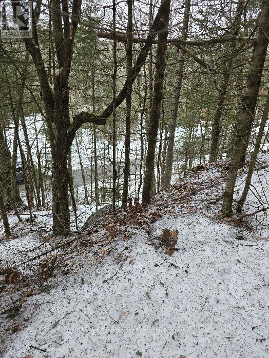 107 Balsam Chutes Road, Huntsville, Ontario  P0B 1L0 - Photo 8 - X12924538