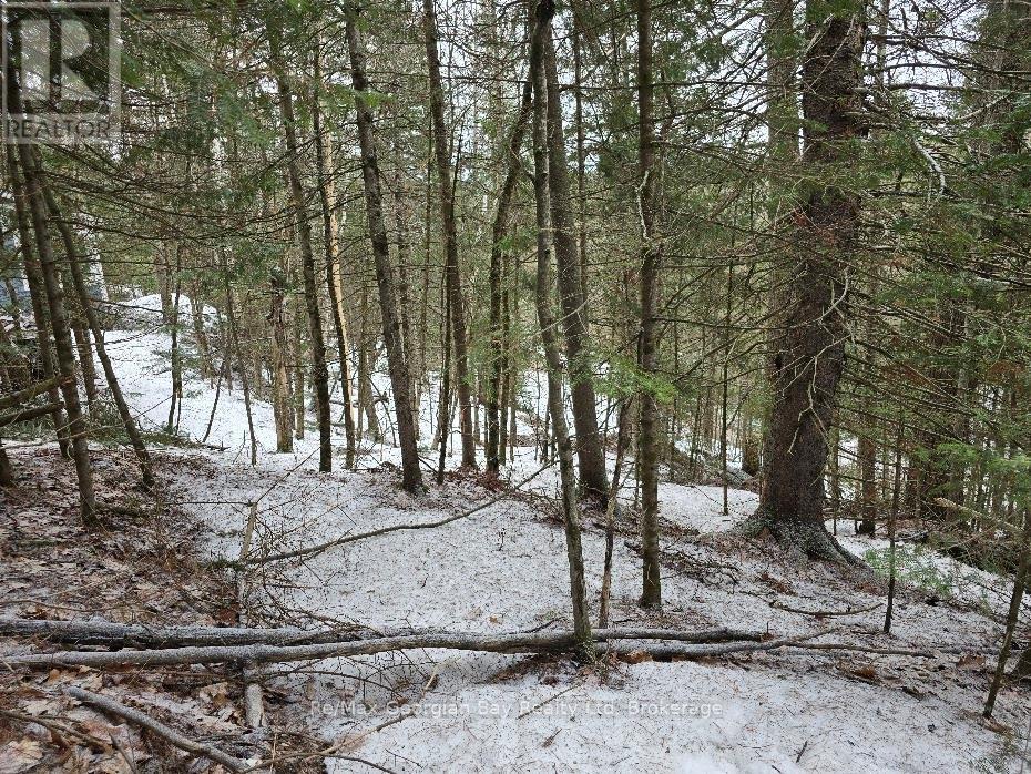 107 Balsam Chutes Road, Huntsville, Ontario  P0B 1L0 - Photo 9 - X12924538