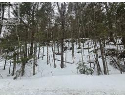 107 BALSAM CHUTES ROAD, Huntsville, Ontario