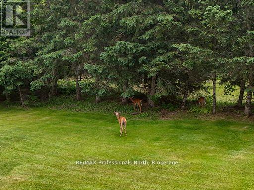 1287 Golden Beach Road, Bracebridge, Ontario  P1L 1W8 - Photo 34 - X12924604