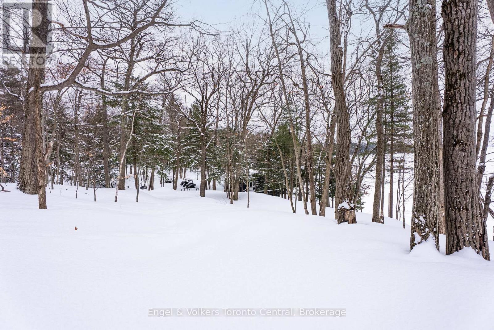 1246 Purdy Road, Muskoka Lakes, Ontario  P0B 1M0 - Photo 17 - X12925292