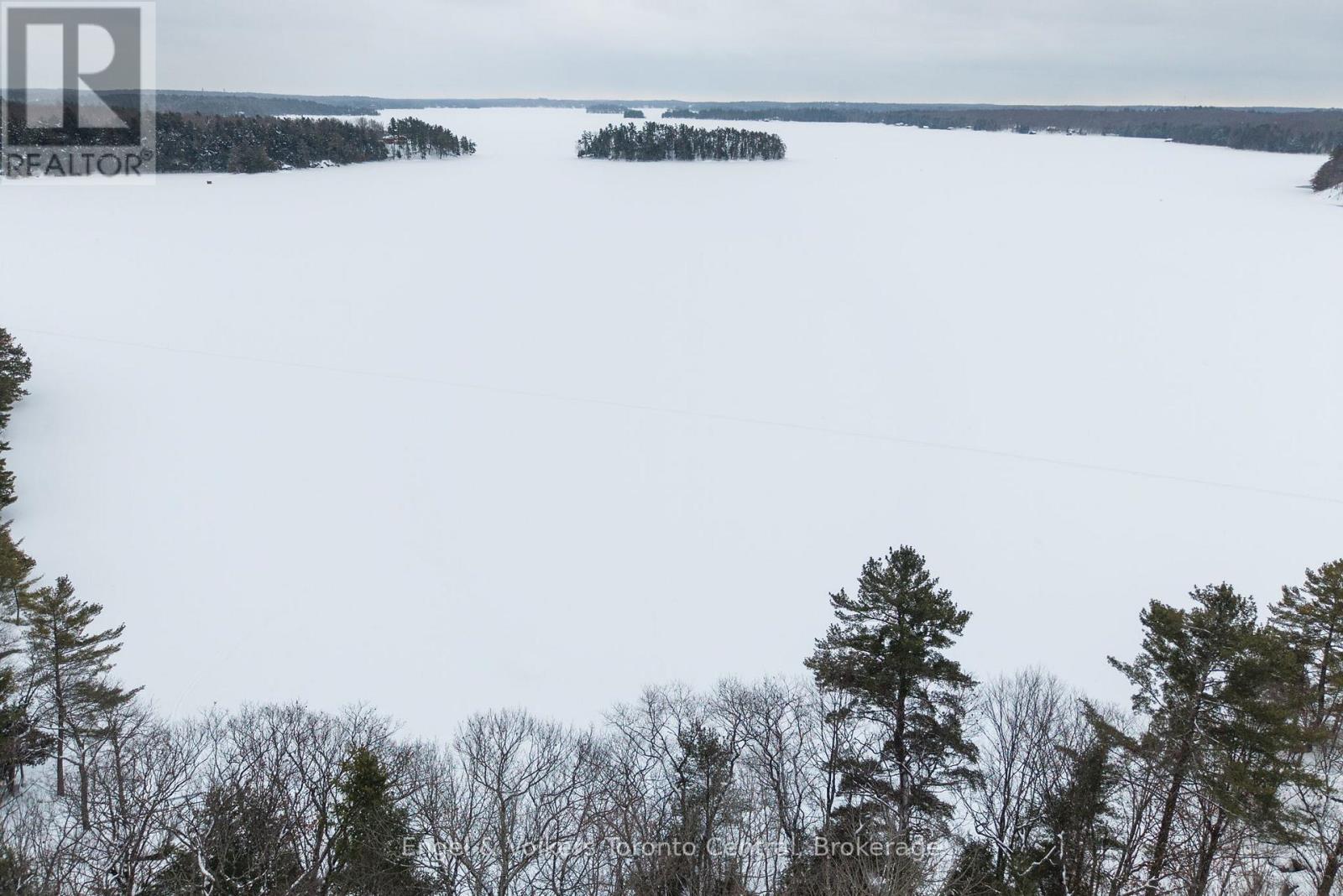 1246 Purdy Road, Muskoka Lakes, Ontario  P0B 1M0 - Photo 3 - X12925292