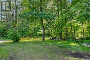 288 Rankin Lake Road, Seguin, Ontario  P2A 2W8 - Photo 17 - X12927154