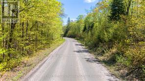 288 Rankin Lake Road, Seguin, Ontario  P2A 2W8 - Photo 22 - X12927154