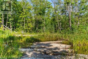 288 Rankin Lake Road, Seguin, Ontario  P2A 2W8 - Photo 23 - X12927154