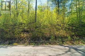 288 Rankin Lake Road, Seguin, Ontario  P2A 2W8 - Photo 34 - X12927154