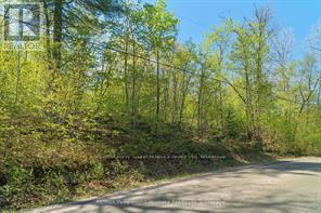 288 Rankin Lake Road, Seguin, Ontario  P2A 2W8 - Photo 36 - X12927154