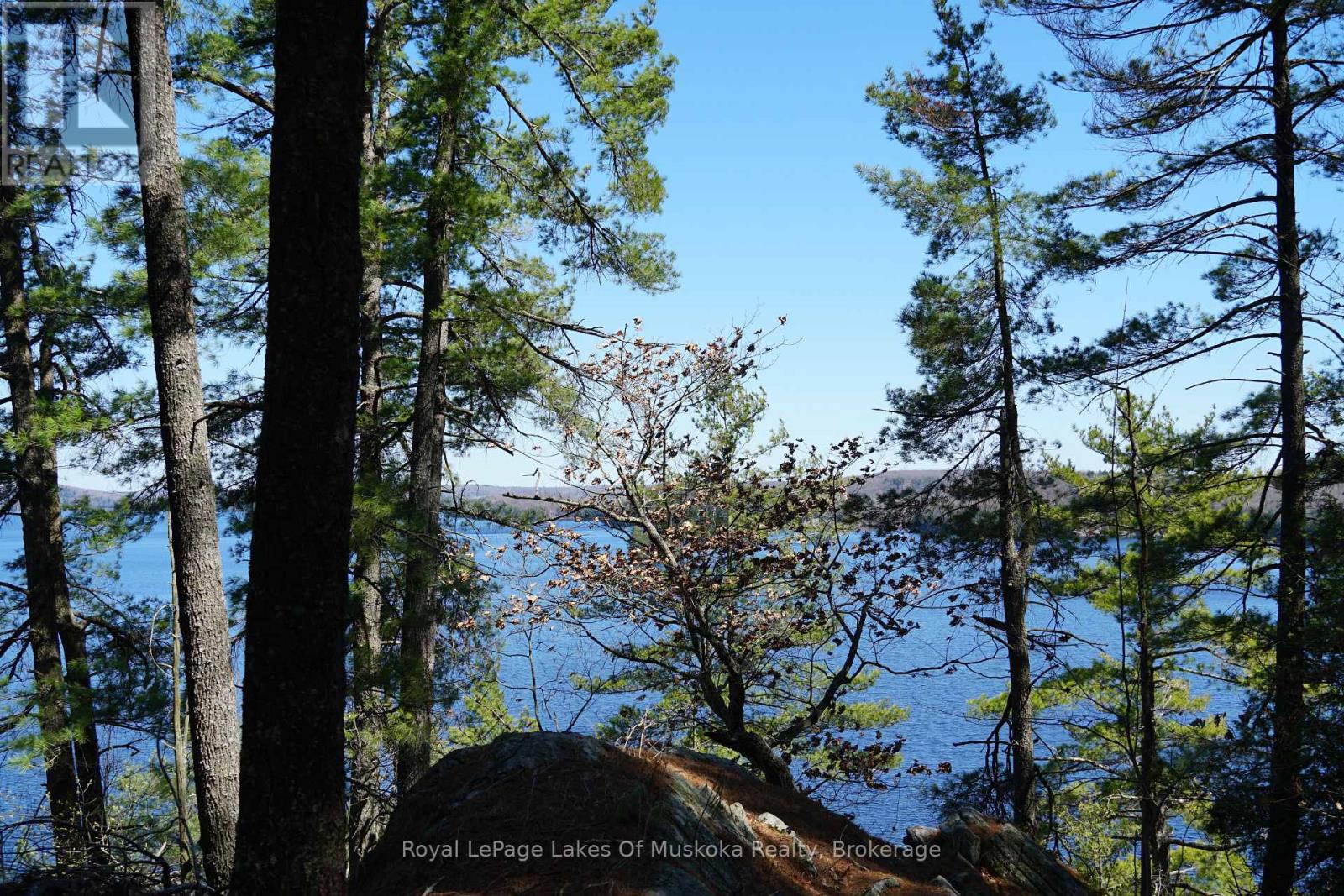 29 Thorburn Lane, Huntsville, Ontario  P1H 0C3 - Photo 10 - X12930172