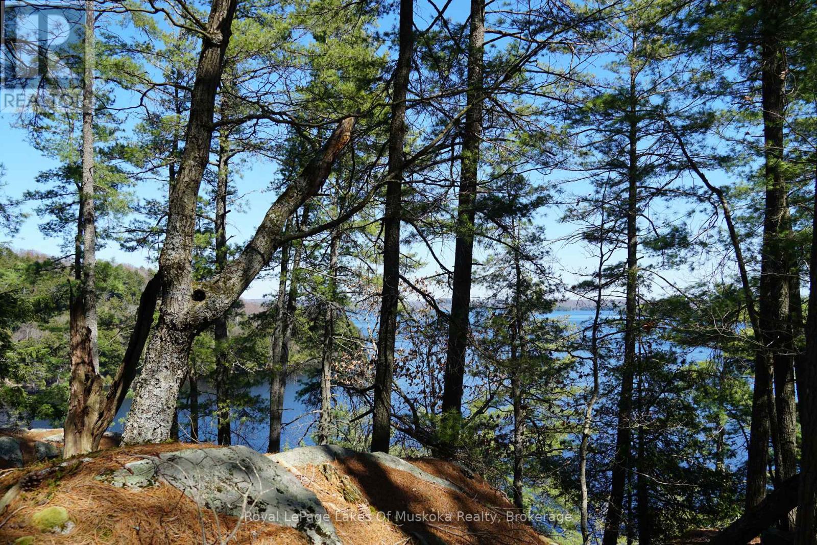 29 Thorburn Lane, Huntsville, Ontario  P1H 0C3 - Photo 11 - X12930172