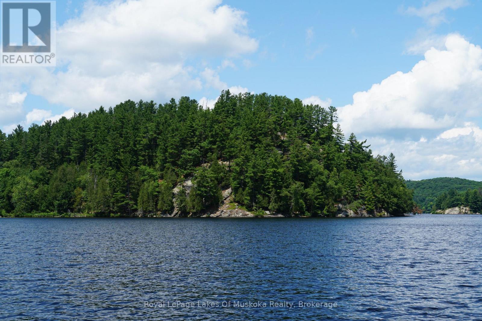 29 Thorburn Lane, Huntsville, Ontario  P1H 0C3 - Photo 15 - X12930172