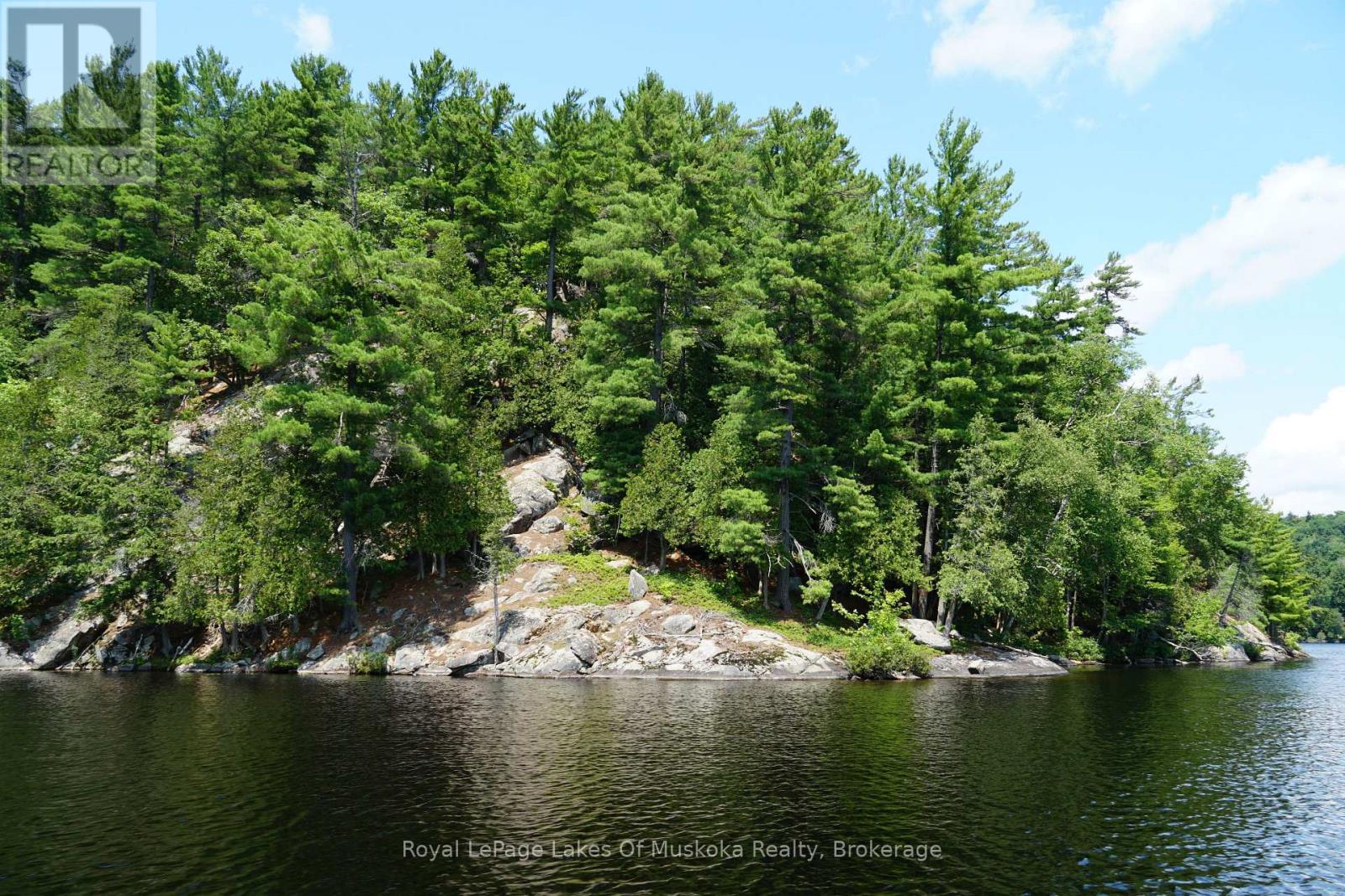 29 Thorburn Lane, Huntsville, Ontario  P1H 0C3 - Photo 16 - X12930172