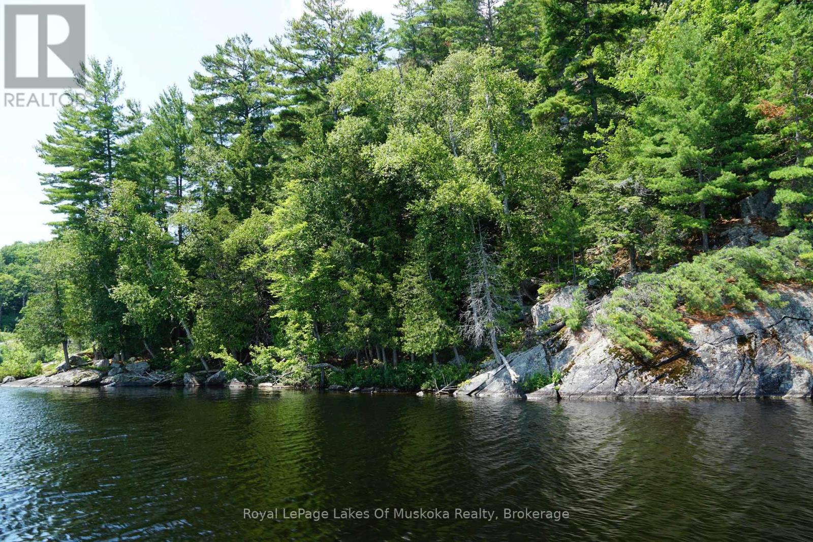 29 Thorburn Lane, Huntsville, Ontario  P1H 0C3 - Photo 17 - X12930172