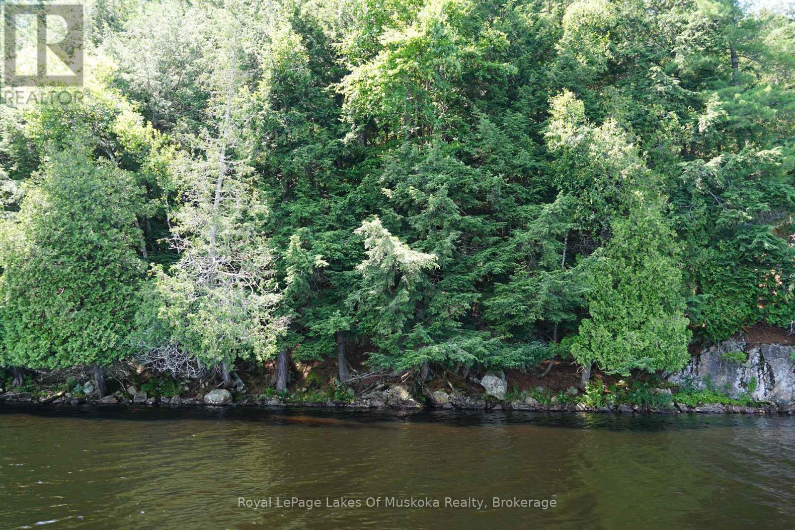 29 Thorburn Lane, Huntsville, Ontario  P1H 0C3 - Photo 19 - X12930172