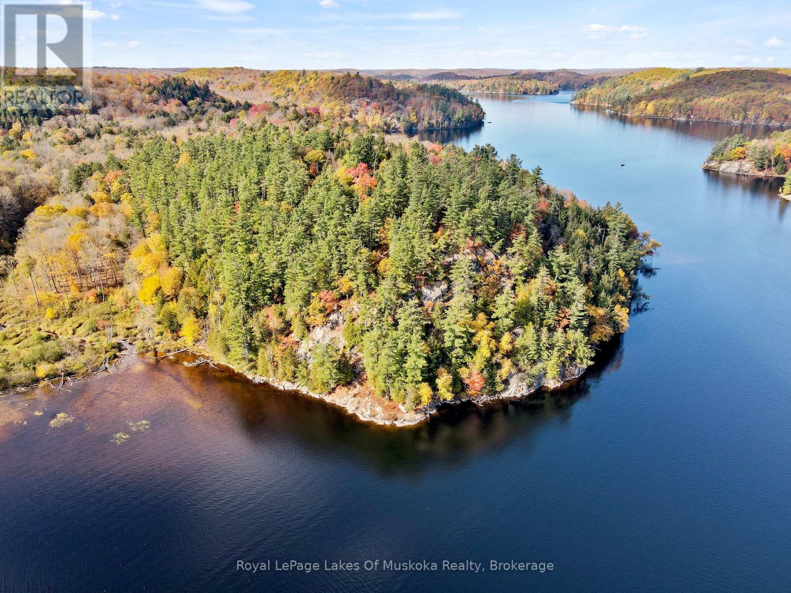 29 Thorburn Lane, Huntsville, Ontario  P1H 0C3 - Photo 4 - X12930172