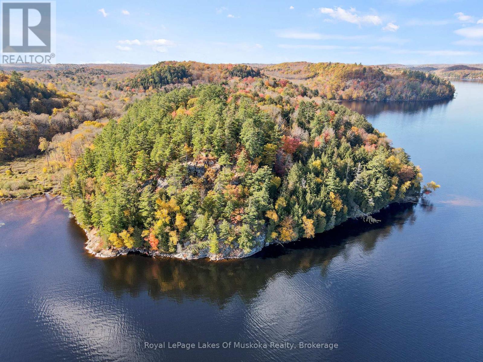 29 Thorburn Lane, Huntsville, Ontario  P1H 0C3 - Photo 5 - X12930172