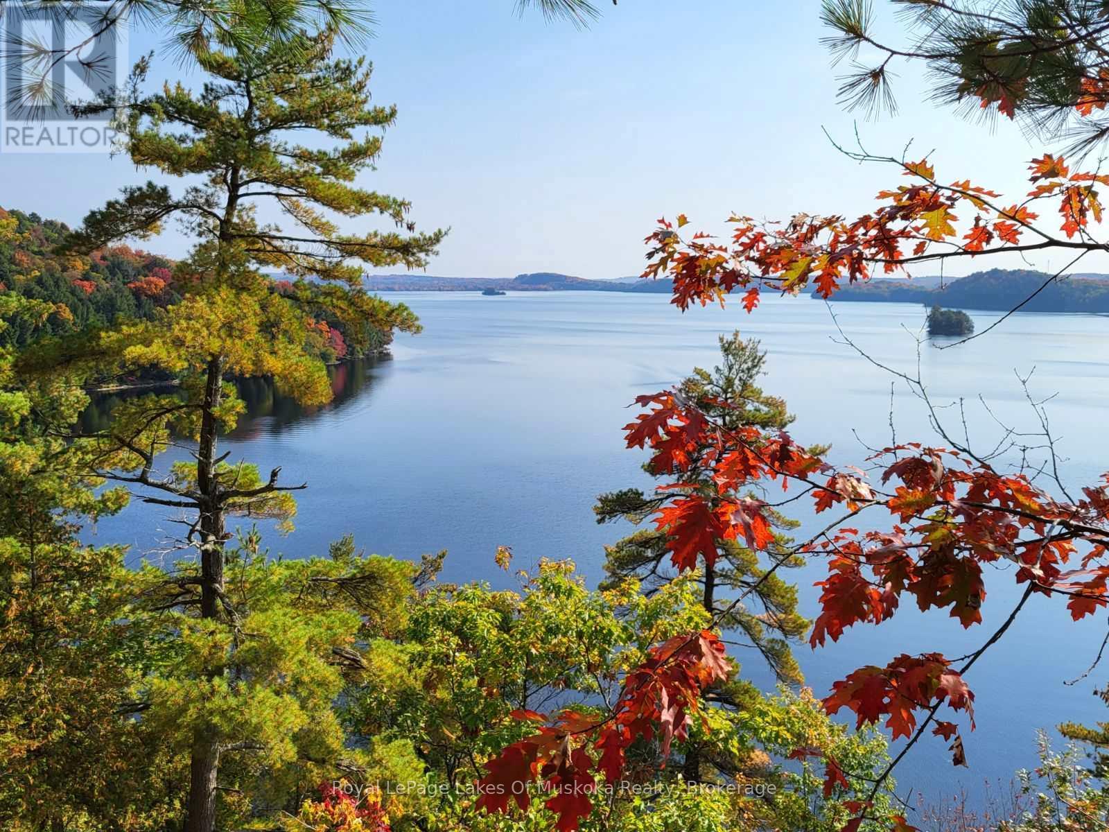 29 Thorburn Lane, Huntsville, Ontario  P1H 0C3 - Photo 6 - X12930172