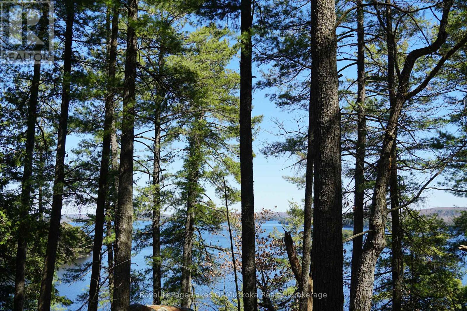 29 Thorburn Lane, Huntsville, Ontario  P1H 0C3 - Photo 9 - X12930172