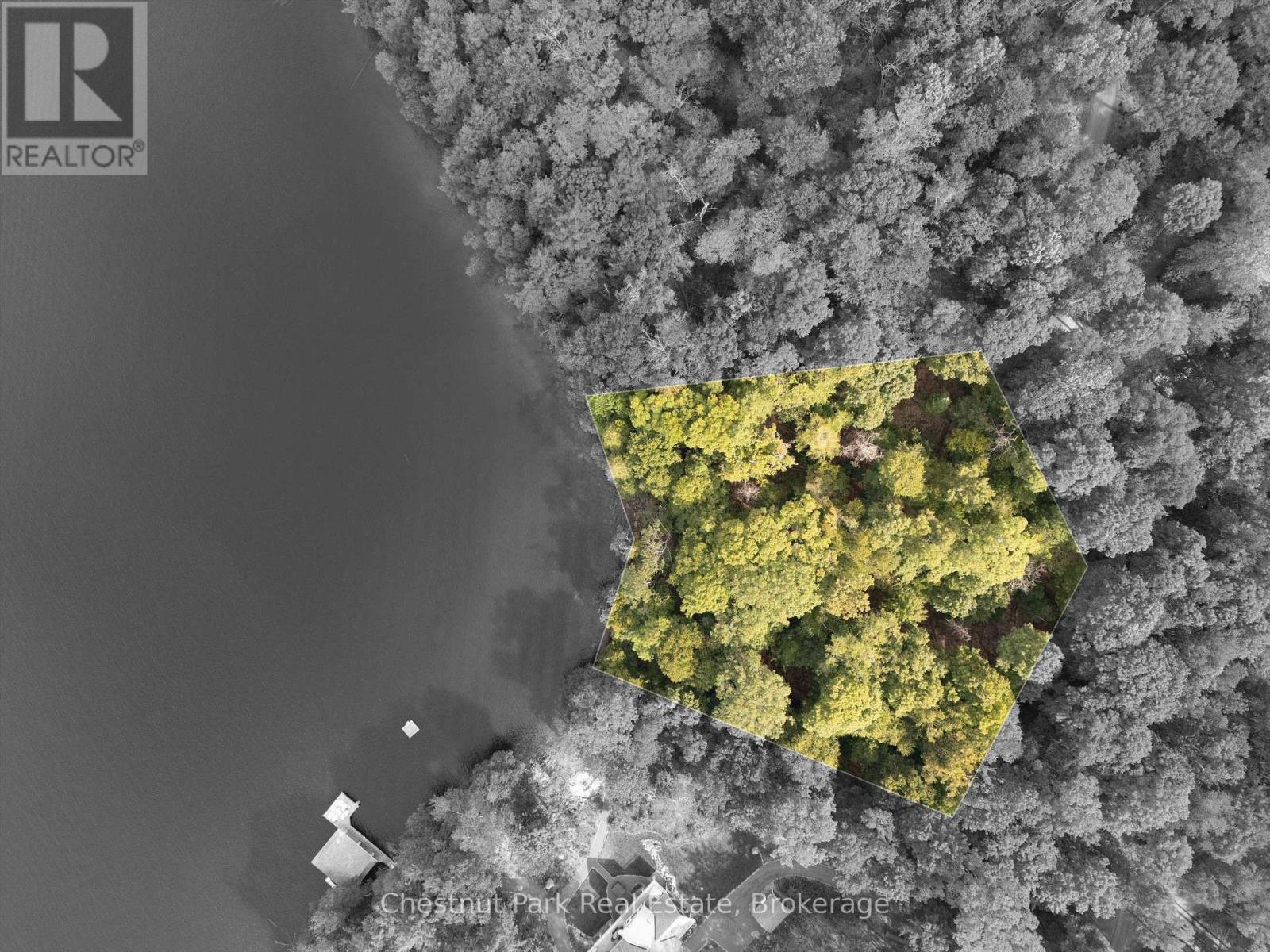 300 Bigwin Island, Lake Of Bays, Ontario  P0B 1A0 - Photo 1 - X12935730