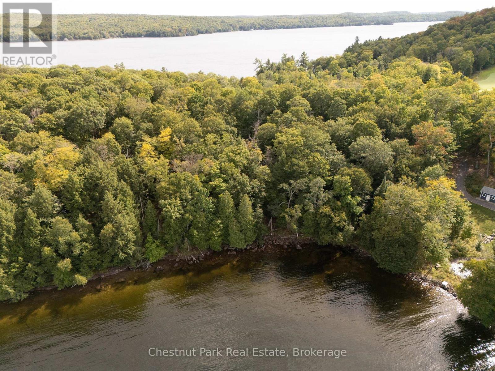 300 Bigwin Island, Lake Of Bays, Ontario  P0B 1A0 - Photo 6 - X12935730