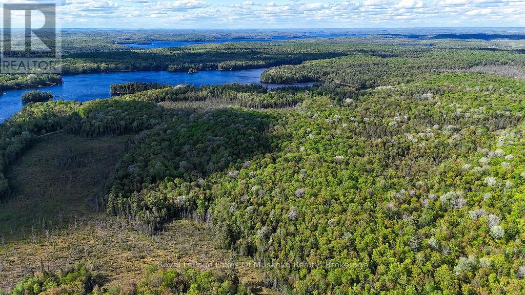 1356 Dickie Lake Road, Lake Of Bays, Ontario  P0B 1A0 - Photo 12 - X12936408