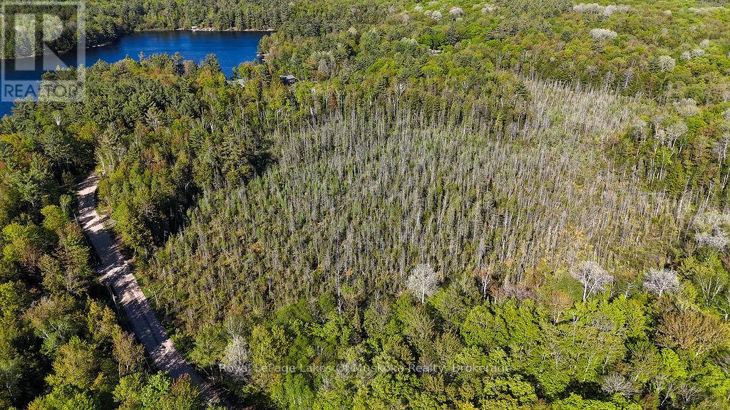 1356 Dickie Lake Road, Lake Of Bays, Ontario  P0B 1A0 - Photo 14 - X12936408