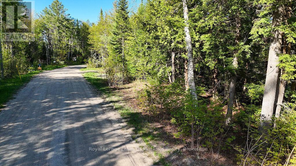 1356 Dickie Lake Road, Lake Of Bays, Ontario  P0B 1A0 - Photo 15 - X12936408