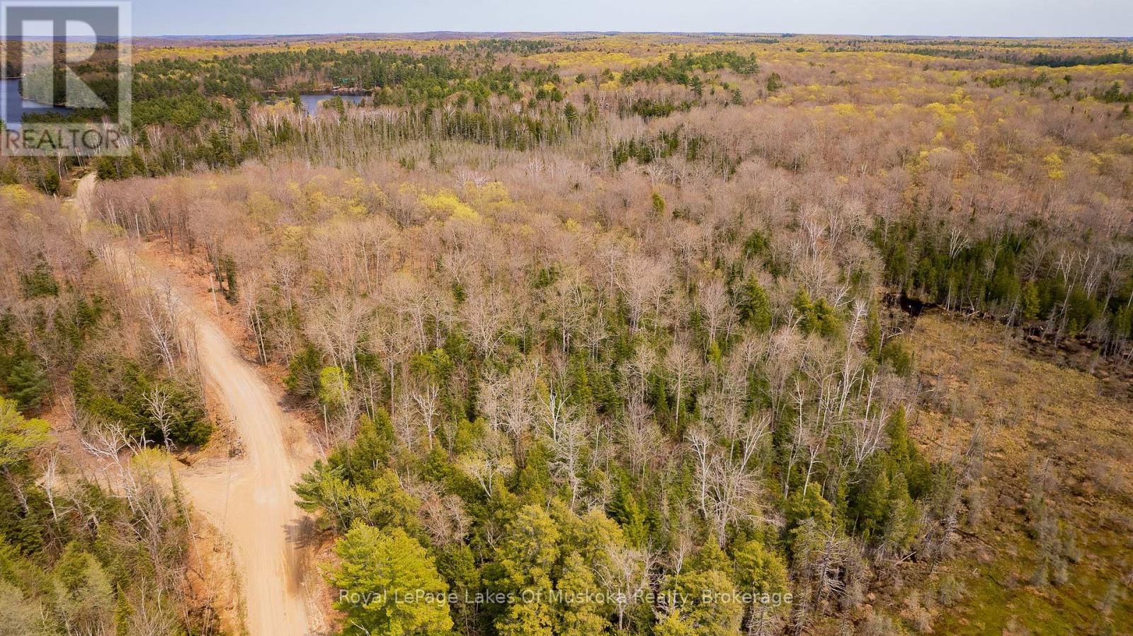 1356 Dickie Lake Road, Lake Of Bays, Ontario  P0B 1A0 - Photo 6 - X12936408