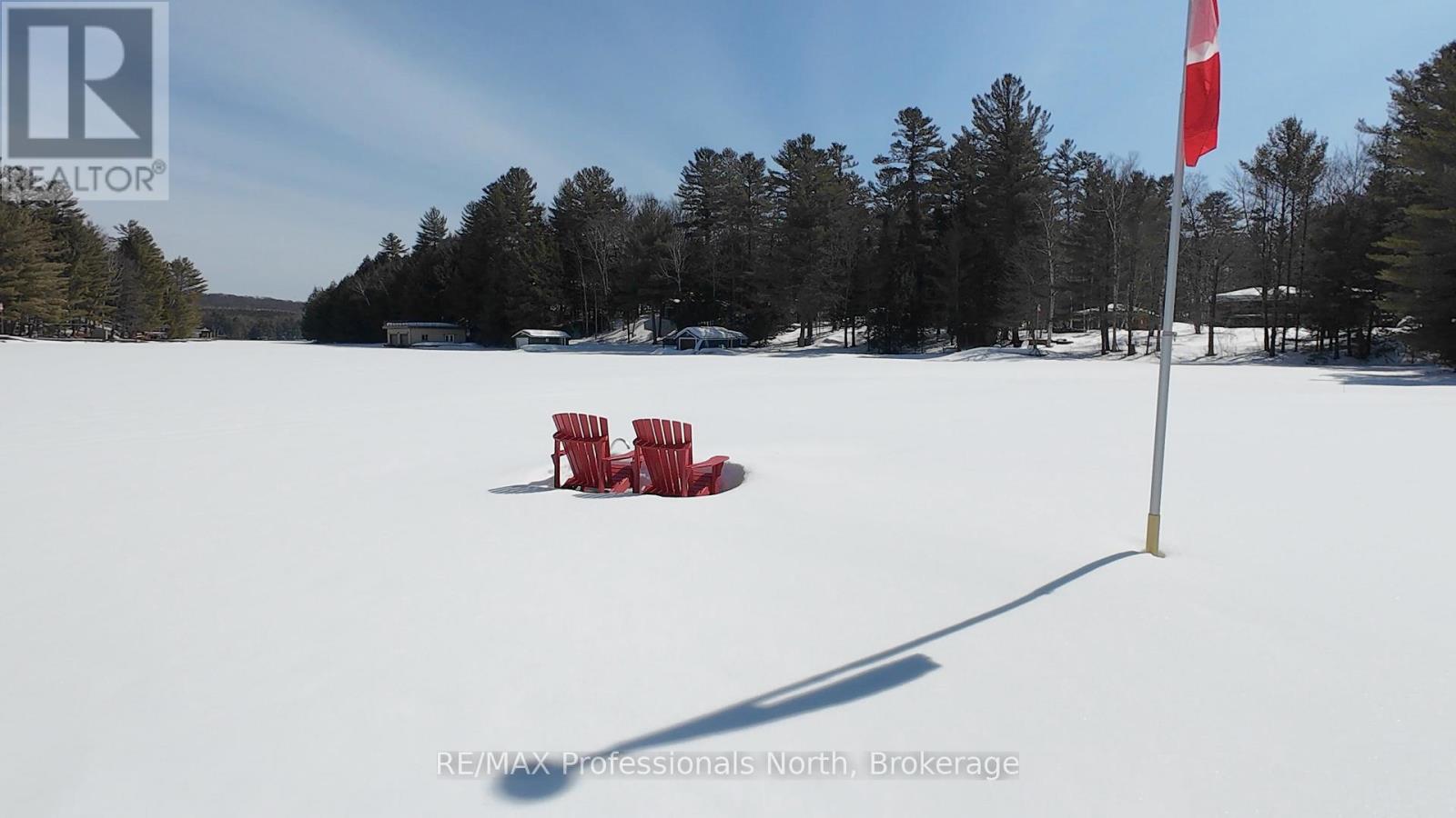 1 - 1162 Burlmarie Road, Lake Of Bays, Ontario  P0B 1A0 - Photo 3 - X12940730