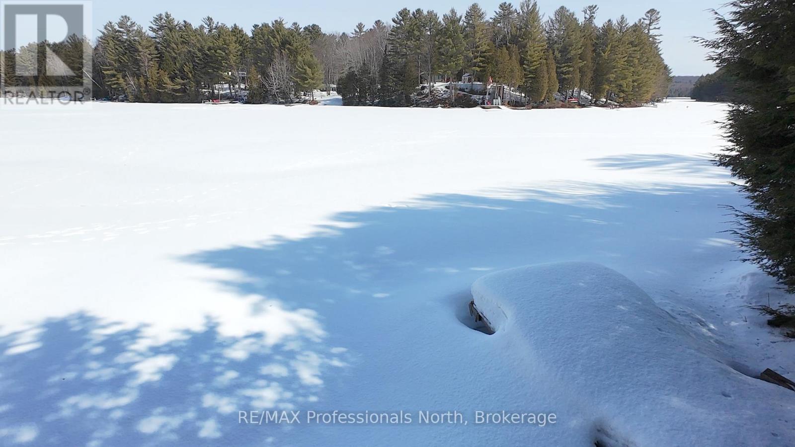 1 - 1162 Burlmarie Road, Lake Of Bays, Ontario  P0B 1A0 - Photo 5 - X12940730