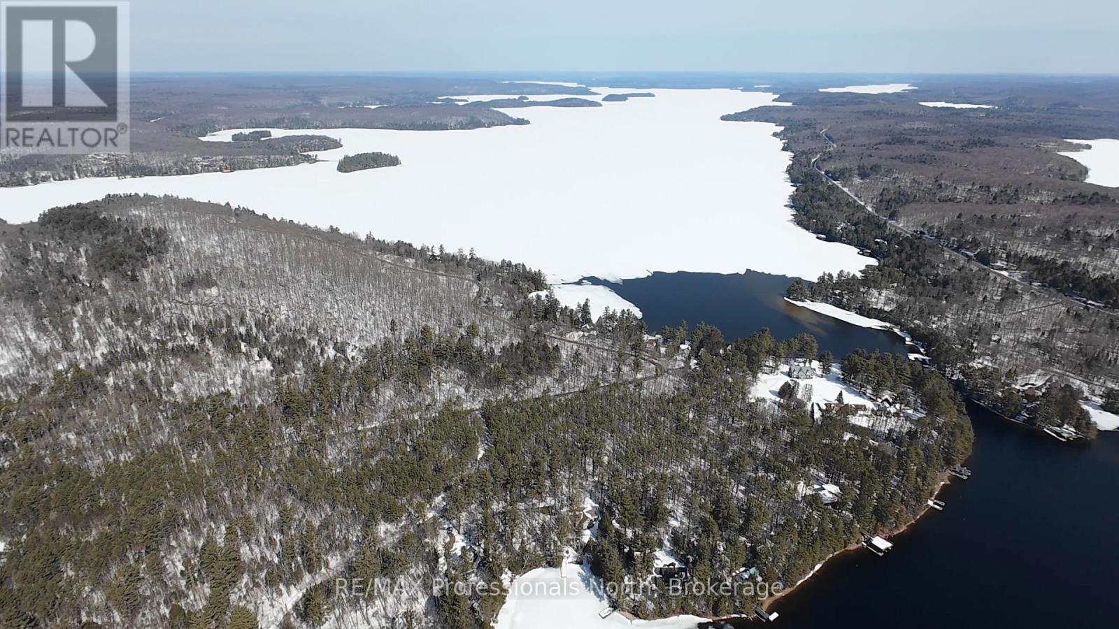 1 - 1162 Burlmarie Road, Lake Of Bays, Ontario  P0B 1A0 - Photo 7 - X12940730