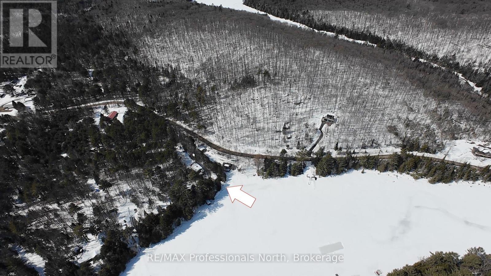 1 - 1162 Burlmarie Road, Lake Of Bays, Ontario  P0B 1A0 - Photo 8 - X12940730