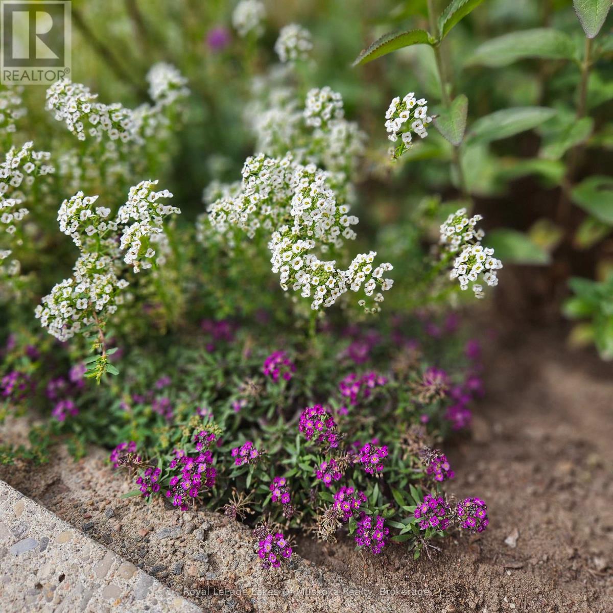 16 Rogers Road, Huntsville, Ontario  P1H 1T1 - Photo 29 - X12942296