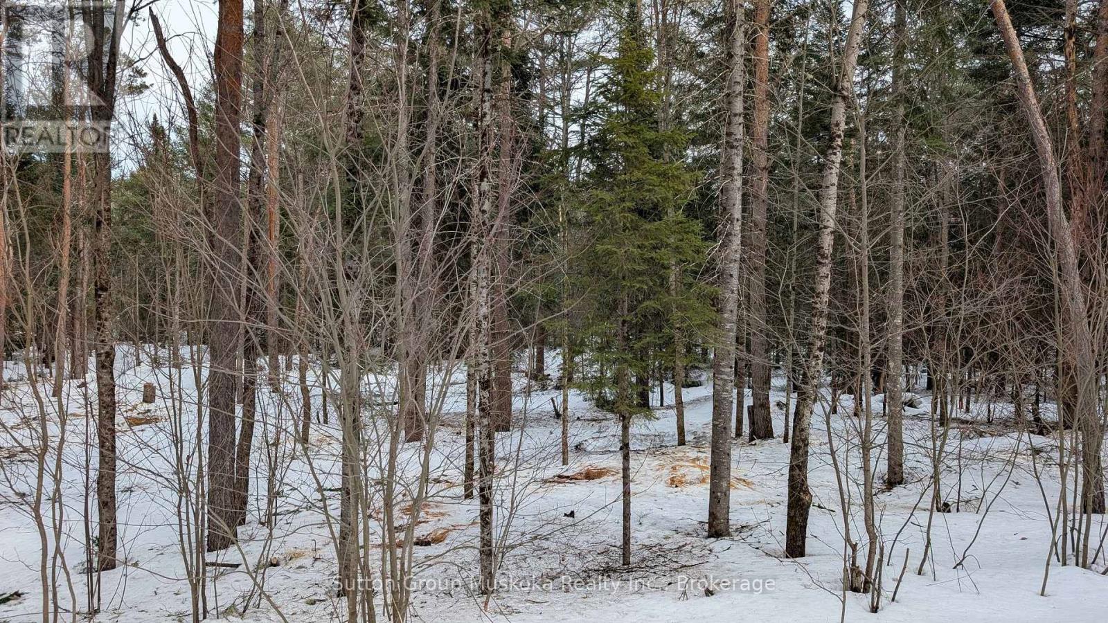 Lot 1 Red Pine Trail, Bracebridge, Ontario  P0B 1L0 - Photo 4 - X12943530