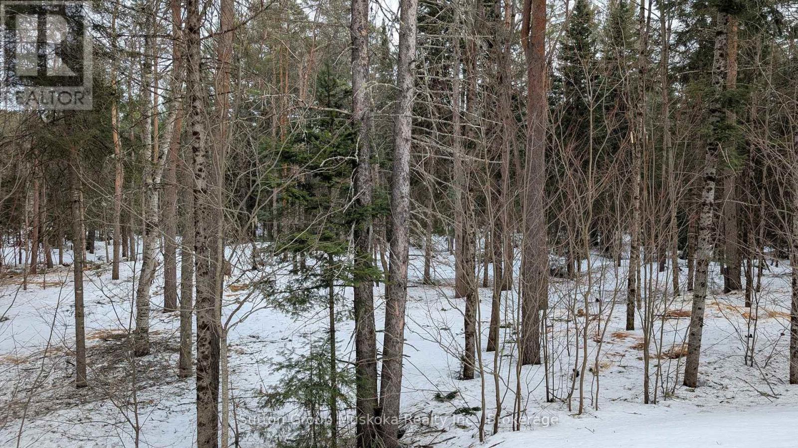 Lot 1 Red Pine Trail, Bracebridge, Ontario  P0B 1L0 - Photo 5 - X12943530