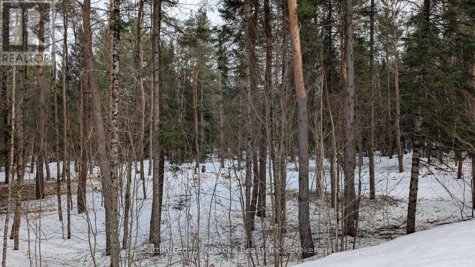 Lot 1 Red Pine Trail, Bracebridge, Ontario  P0B 1L0 - Photo 6 - X12943530