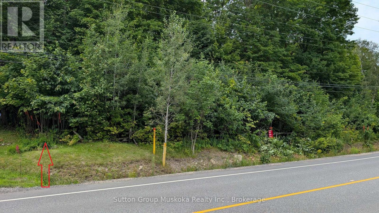 837 Aspdin Road, Huntsville, Ontario  P1H 0H2 - Photo 1 - X12944008