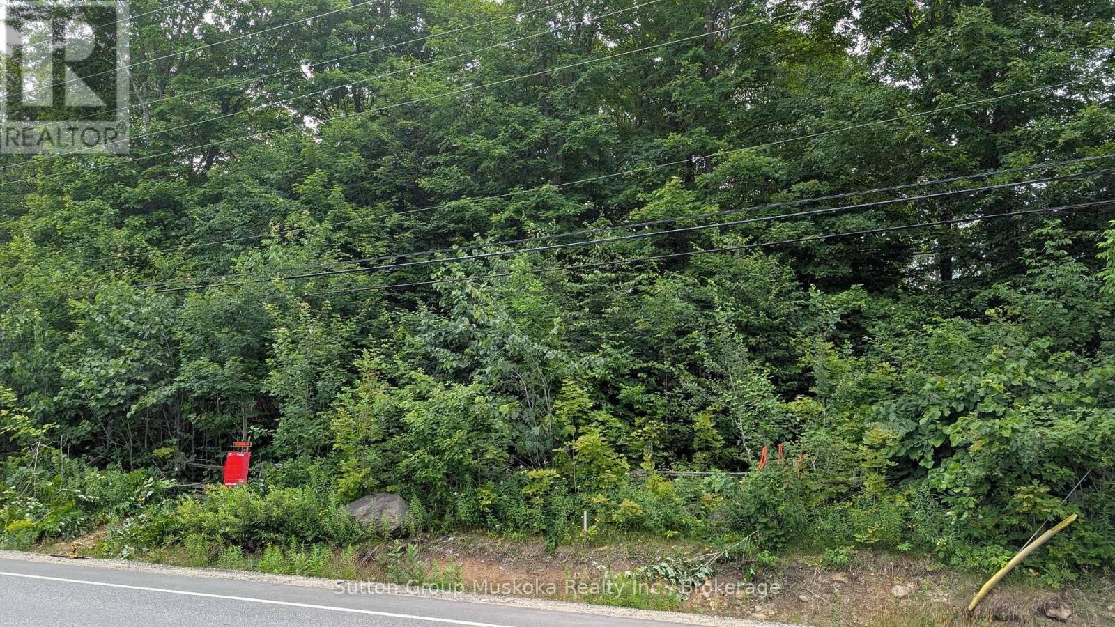 837 Aspdin Road, Huntsville, Ontario  P1H 0H2 - Photo 8 - X12944008