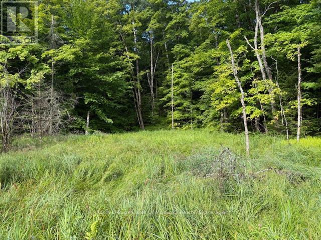 1788 Old Muskoka Road, Huntsville, Ontario  P0B 1M0 - Photo 1 - X12944820