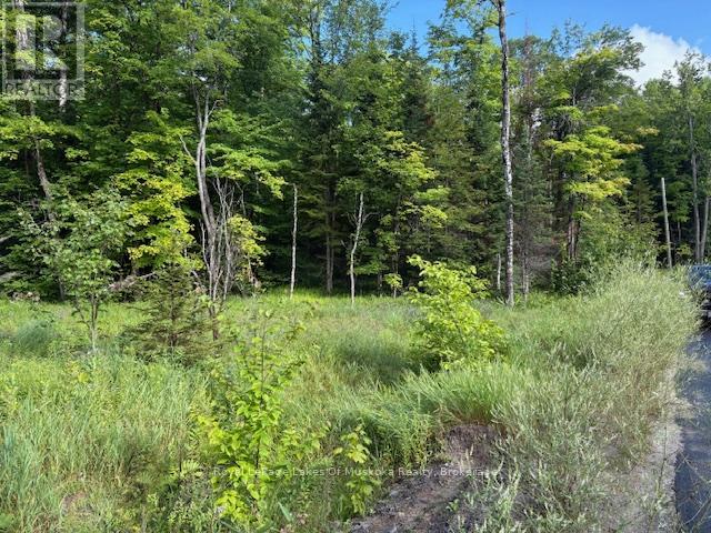 1788 Old Muskoka Road, Huntsville, Ontario  P0B 1M0 - Photo 5 - X12944820