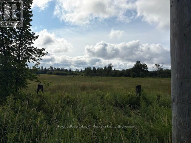 0 Old Muskoka To The West Side Of #1105 Road, Huntsville, Ontario  P0B 1M0 - Photo 3 - X12946022