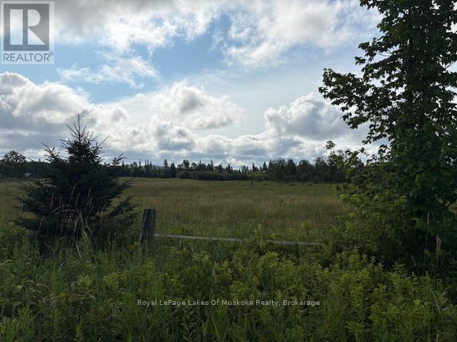 0 Old Muskoka To The West Side Of #1105 Road, Huntsville, Ontario  P0B 1M0 - Photo 6 - X12946022