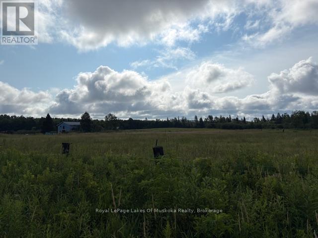 0 Old Muskoka To The West Side Of #1105 Road, Huntsville, Ontario  P0B 1M0 - Photo 7 - X12946022