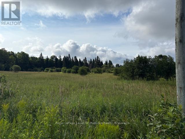 0 Old Muskoka To The East Side Of #1105 Road, Huntsville, Ontario  P0B 1M0 - Photo 2 - X12946040